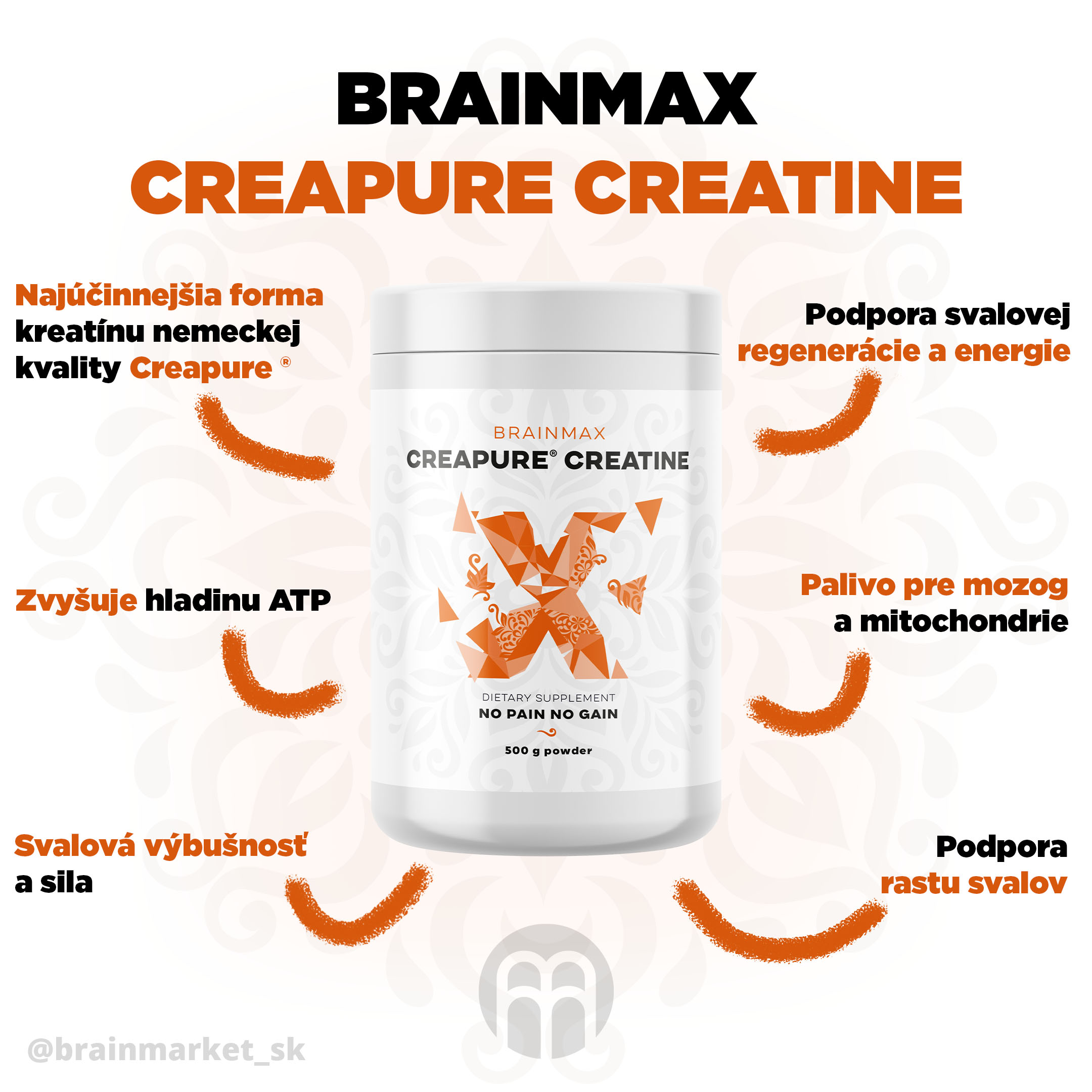 brainmax creapure creatine blog-infografika brainmarket SK